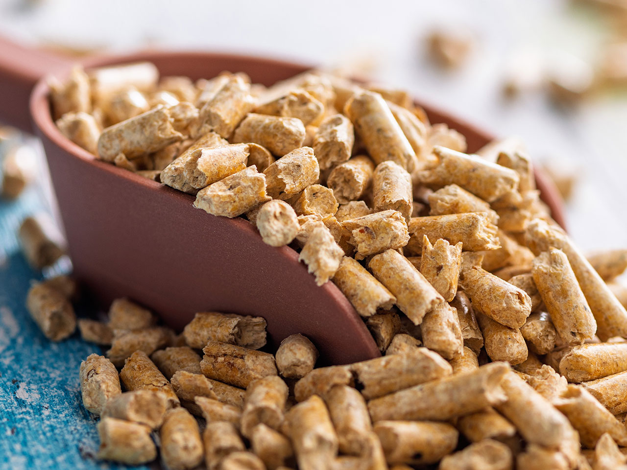 Pellets auf einer Schaufel