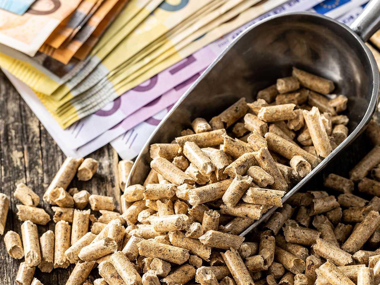 Gefällte Baumstämme liegen auf dem Waldboden, davor gehäufte Holzpellets mit grünem Blatt obendrauf.
