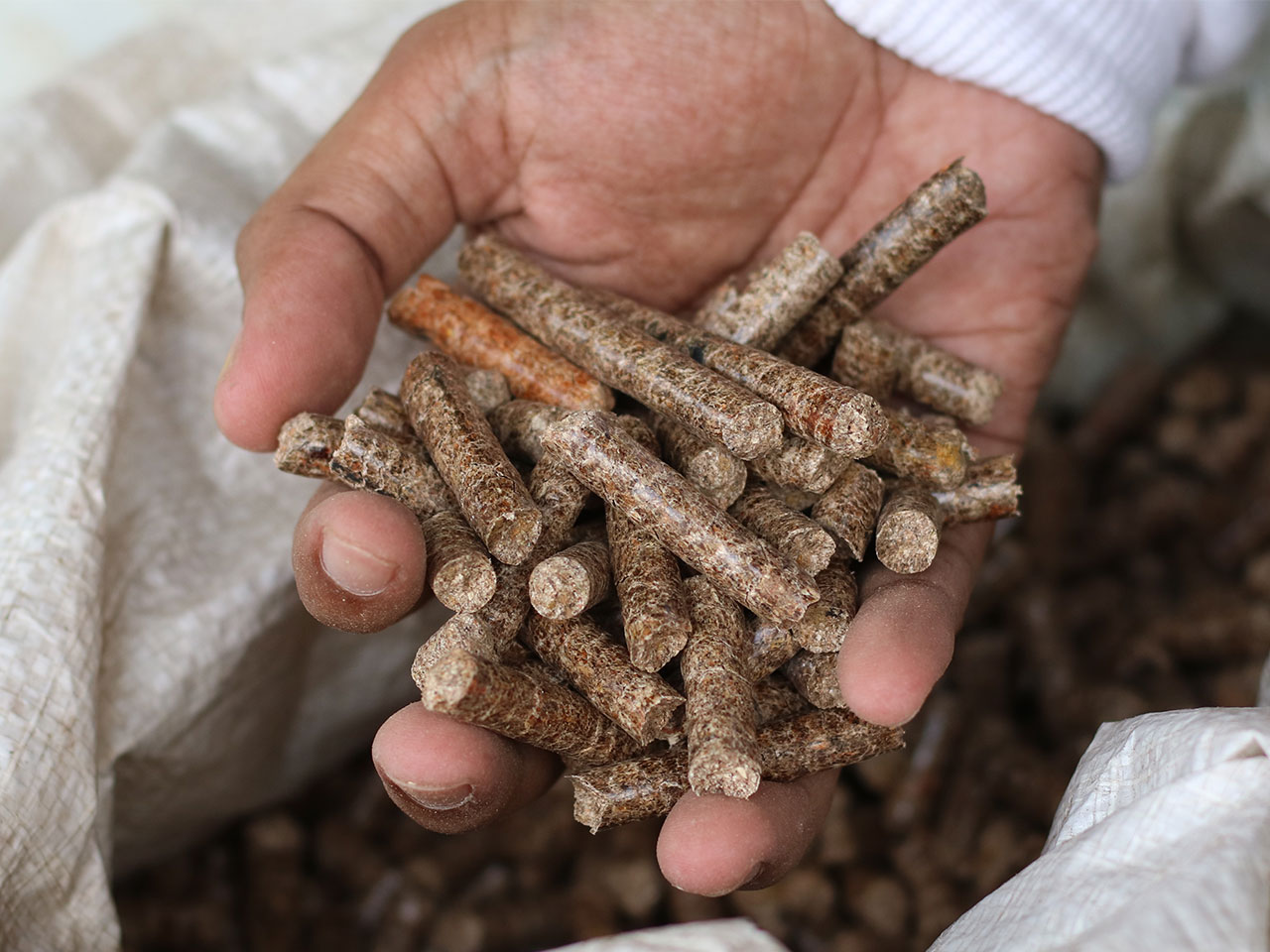 Hand mit Holzpellets
